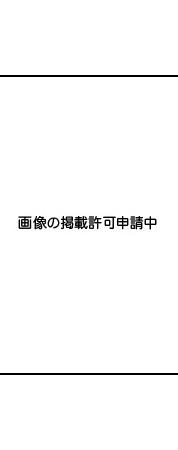 甚誉行阿筆『大仏殿由来記』より（高岡市立中央図書館蔵）